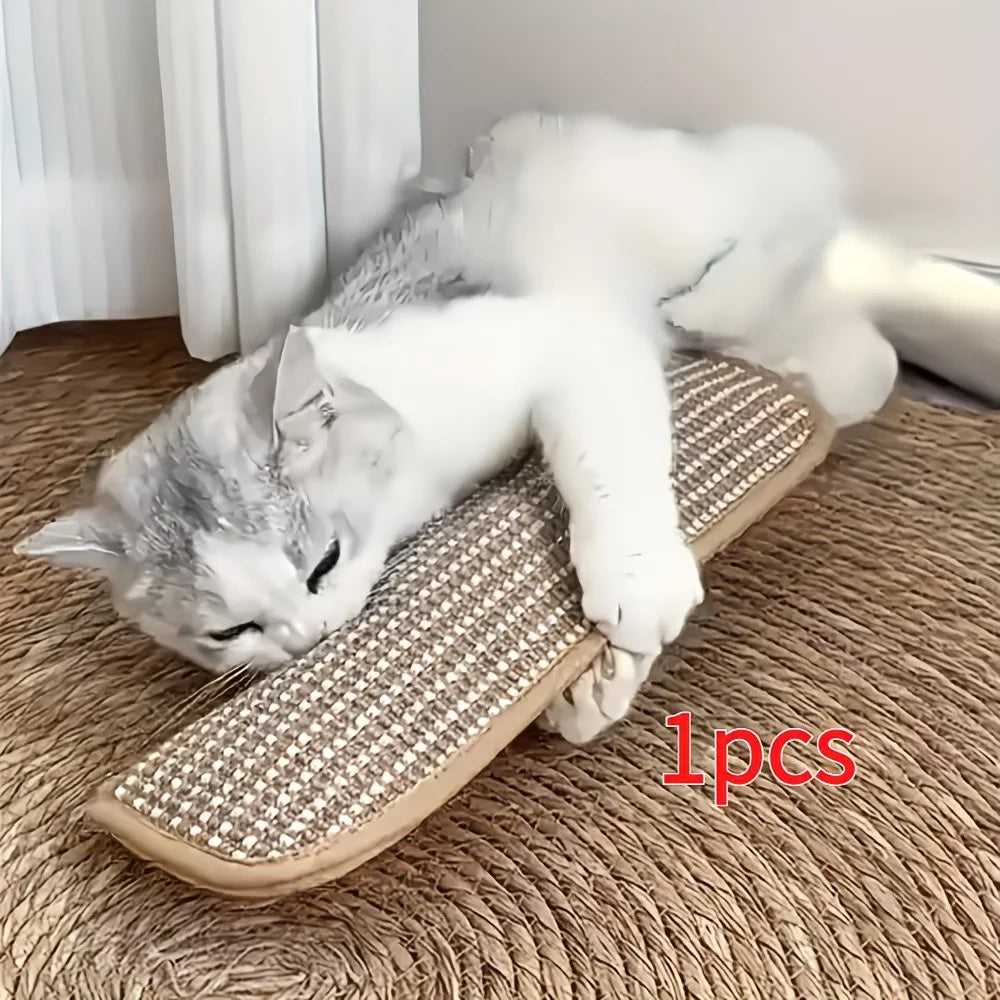 Coussin de jeu et tapis à griffer pour chat